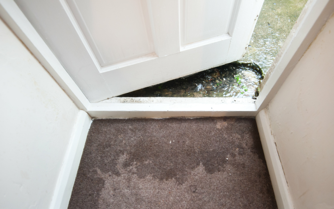 Water from outside is entering the home due to lack of proper drainage systems.